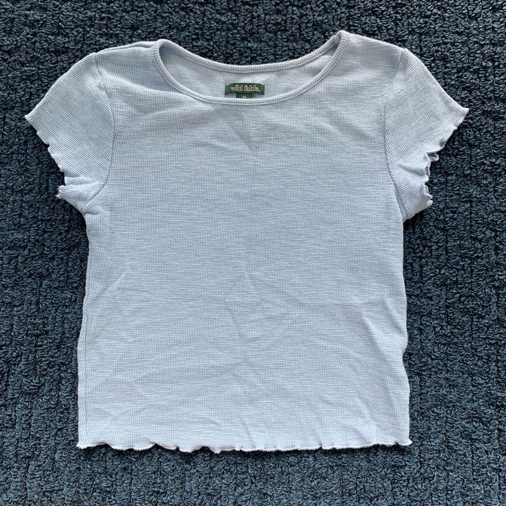 Wild Fable Crop Tee